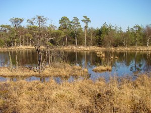 Moor in Ostfriesland Tatort im Ostfrieslandkrimi