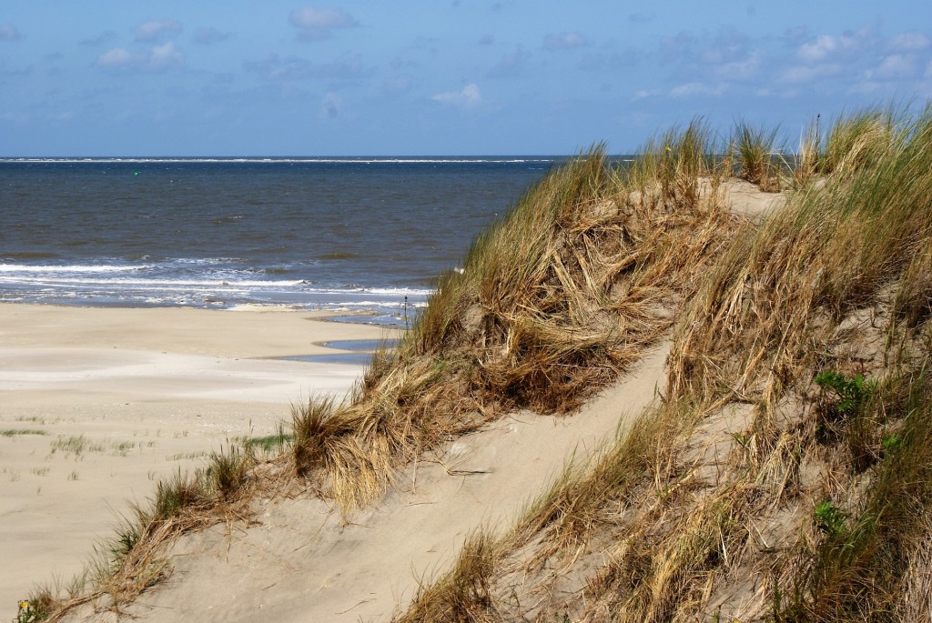 Borkum Natur