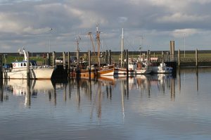 Fischerboote Norddeich