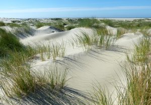 Dünen Borkum