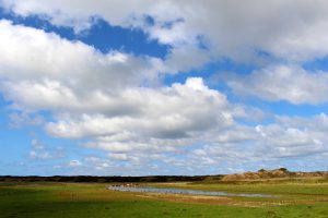 Ostfriesland