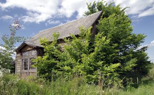 Einsames Haus im Ostfrieslandkrimi Inselzorn