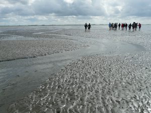 Wattenmeer i