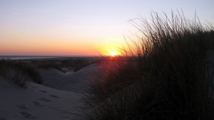 Bild der ostfriesischen Insel Borkum