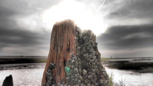Eine Ostfriesland-Impression