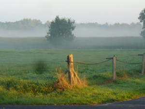 Ostfriesland - Heimat von Friesenkrimi Autorin Susanne Ptak