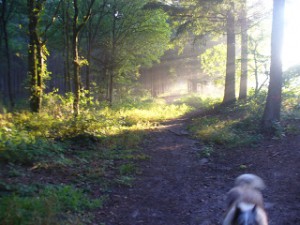 Ostfriesland - Heimat von Ostfrieslandkrimi Autorin Susanne Ptak