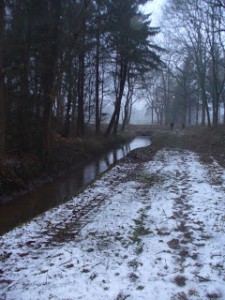 Ostfriesland - Heimat der Autorin Susanne Ptak