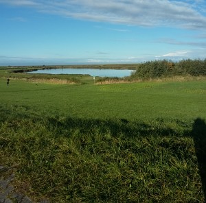 Greetsiel Natur