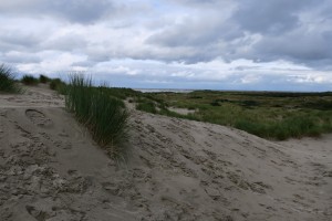 Dünen Borkum