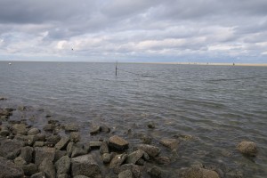 Nordsee Borkum