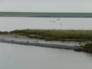 Naturschutzgebiet Leyhörn