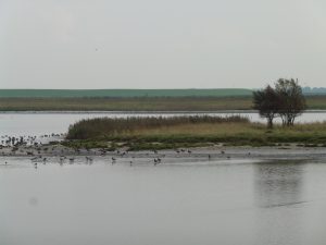 Naturschutzgebiet Leyhörn