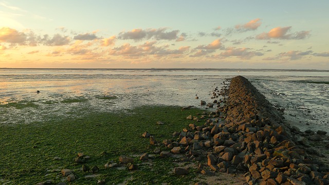 Wattenmeer Neuharlingersiel