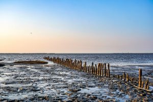 Wattenmeer Ostfriesland