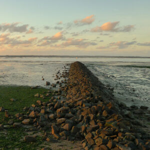 Wattenmeer Neuharlinger