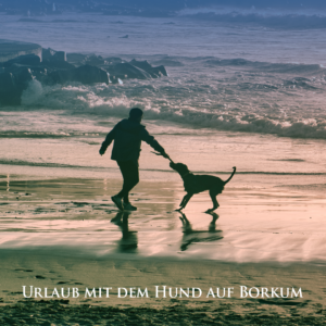 Hund Borkum Friesenkugel Ostfrieslandkrimi