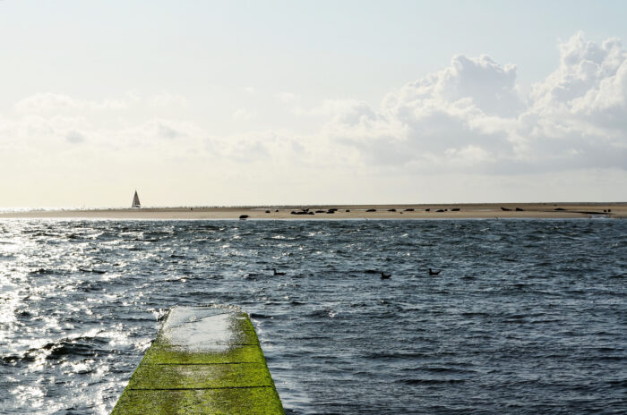 borkum